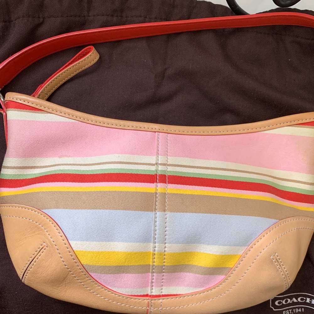 Coach Small Hobo Shoulder Bag